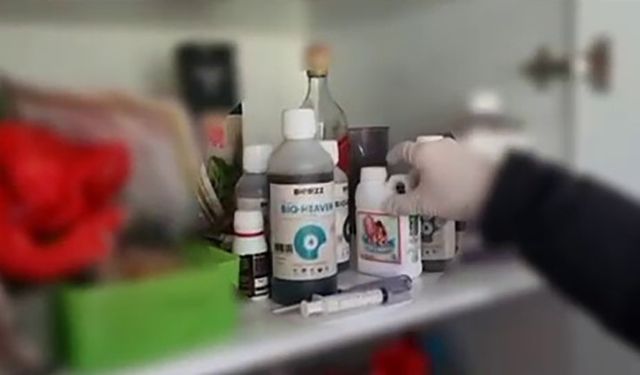 Evin bir odasını uyuşturucu serasına çeviren şüphelileri polis yakaladı