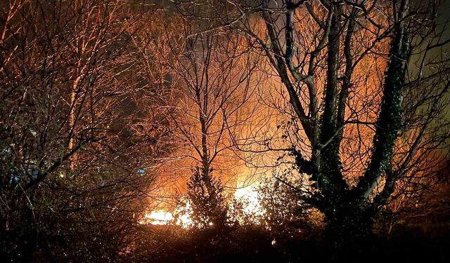 Filyos'ta ağaçlık alanda çıkan yangın korkuttu