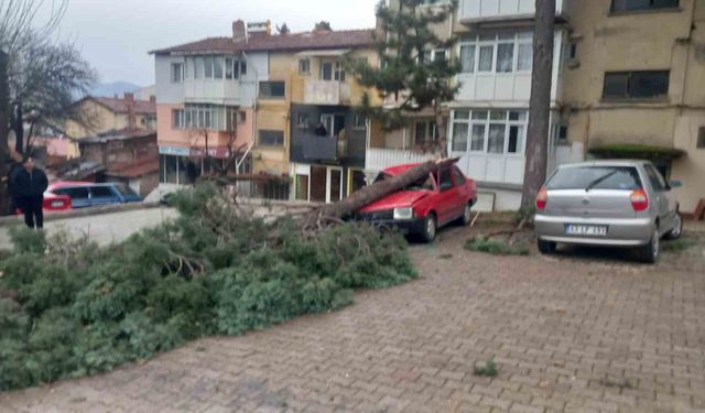 Gediz'de şiddetli rüzgar ağaçları devirdi, binalarda hasara sebep oldu