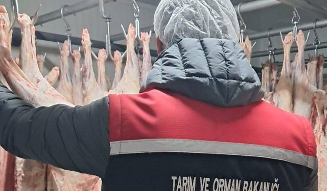 Gıda satışı yapan işletmeler denetlendi