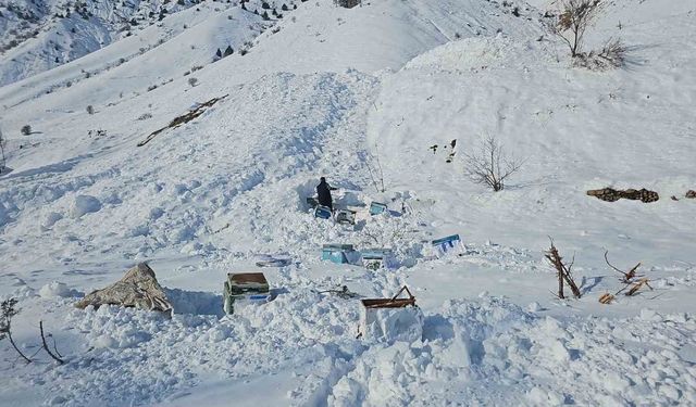 Hakkari'de 32 arı kovanı çığ altında kaldı