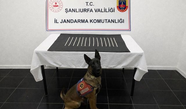 Harran'da uyuşturucu operasyonu: 2 gözaltı