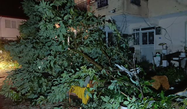 Hortum Manavgat'ı savaş alanına çevirdi