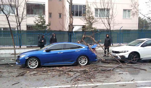 Isparta'da fırtına ağaçları devirdi, araçlar hasar gördü