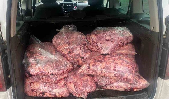 Jandarmanın durdurduğu araçtan 450 kilo bozulmuş et çıktı