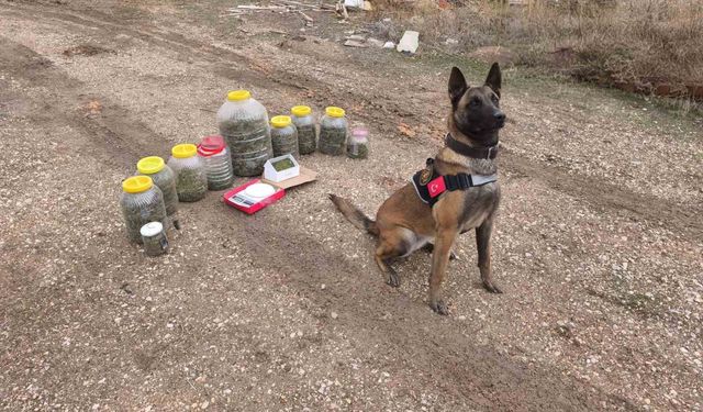 Karaman'da uyuşturucu operasyonu: 1 gözaltı