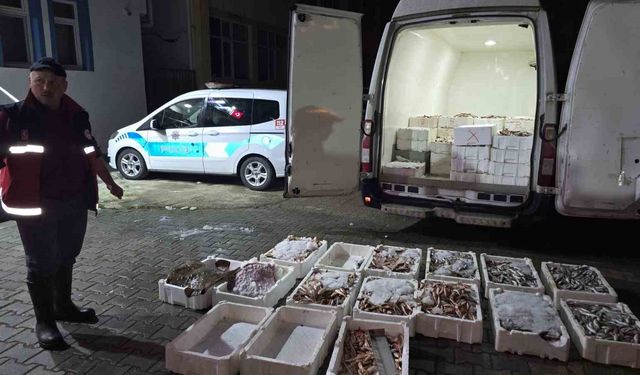 Kastamonu'da yasa dışı avlanan 1,5 ton balığa el konuldu