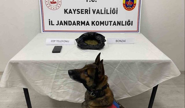 Kayseri'de uyuşturucu operasyonu: 1 gözaltı