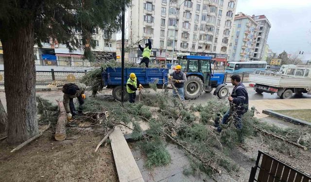 Kütahya'da fırtına ve aşırı rüzgâr ağaçları devirdi