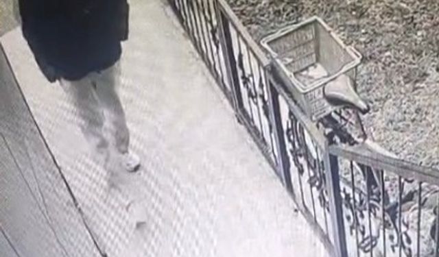 Kütahya'da gündüz vakti bisiklet hırsızlığı kamerada