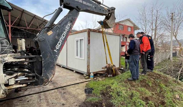 Kuyuya düşen ineği itfaiye kurtardı