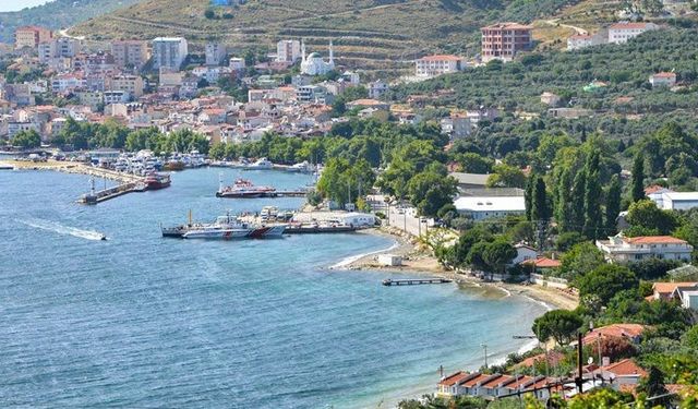 Marmara'da şap hastalığı alarmı