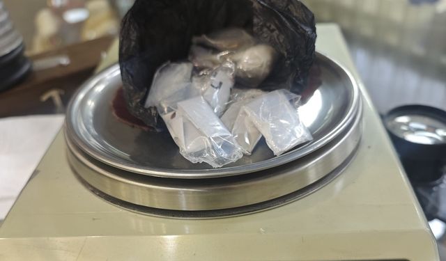 Ordu'da uyuşturucu operasyonu: 2 tutuklama