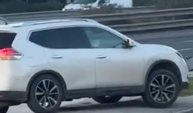 Refüjden atlayan sürücüye ceza yağdı; görüntüleri izleyince itiraf etti