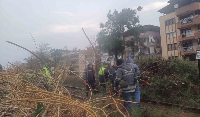 Salihli'yi fırtına vurdu, ağaçlar devrildi, çatılar uçtu