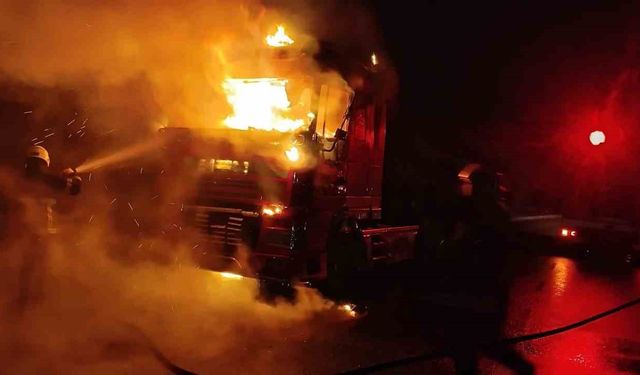 Şanlıurfa'da seyir halindeki tır alev topuna döndü
