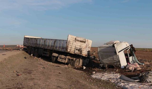 Şırnak'ta iki tır çarpıştı: 2 yaralı