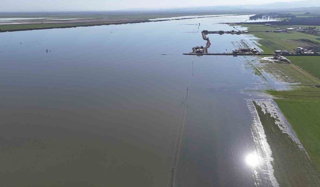 Son 65 yılın en kurak yılını geride bırakan Hatay'da etkili olan yağışla tarım arazileri su altında kaldı