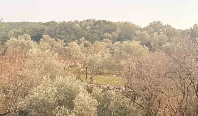 Tarlada aniden fenalaşan bir kişi hayatını kaybetti