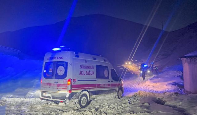 Van'da zorlu hasta kurtarma operasyonu