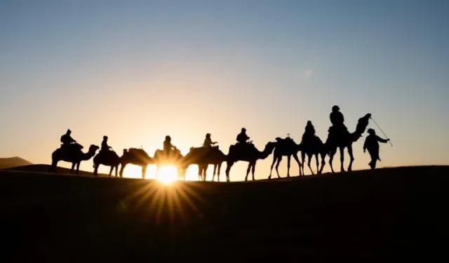 Develere pasaport verilecek