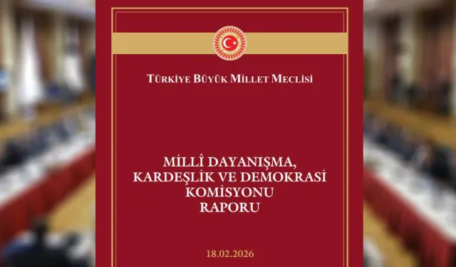 "Millî Dayanışma, Kardeşlik ve Demokrasi Komisyonu" raporu yayımlandı