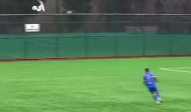 Kalecinin degajıyla vurulan martı kalp masajı ile yaşadı