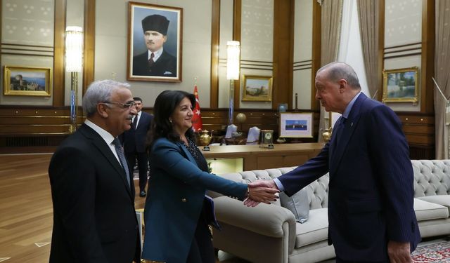 İmralı Heyeti, Erdoğan'la görüşecek