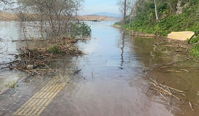 Yaren leyleğin köyü de yükselen göl sularından etkilendi