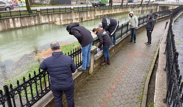 İnceleme başlatıldı! Uludere Çayı'nda binlerce ölü balık bulundu