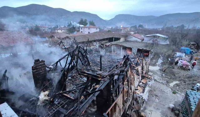 Amasya'da ahır yangında kül oldu: 1 hayvan telef oldu