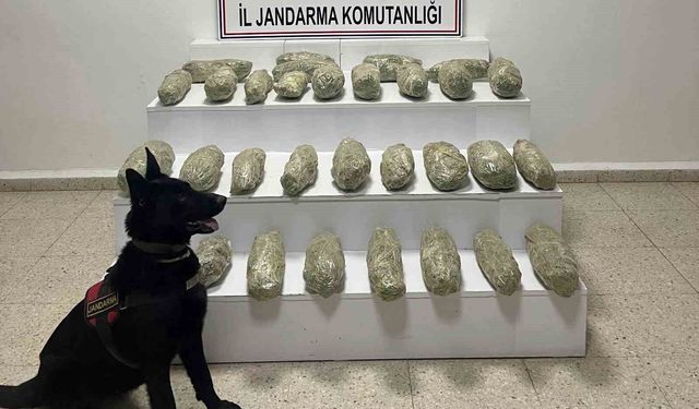 Başkale'de 21 kilo 350 gram skunk ele geçirildi