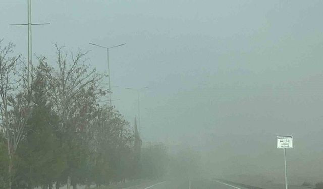 Batman'da sis etkili oldu, görüş mesafesi düştü