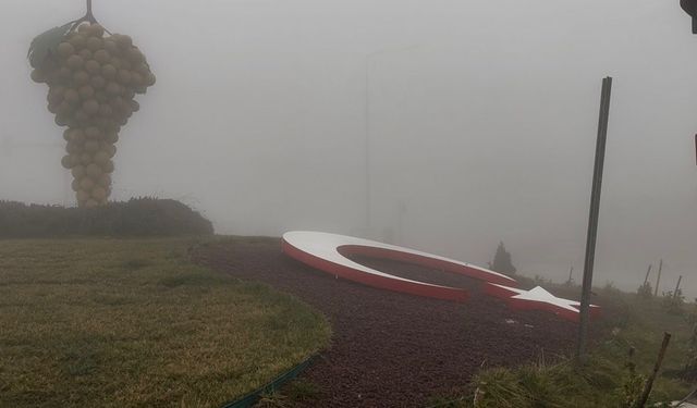 Besni'de yoğun sis hayatı olumsuz etkiledi