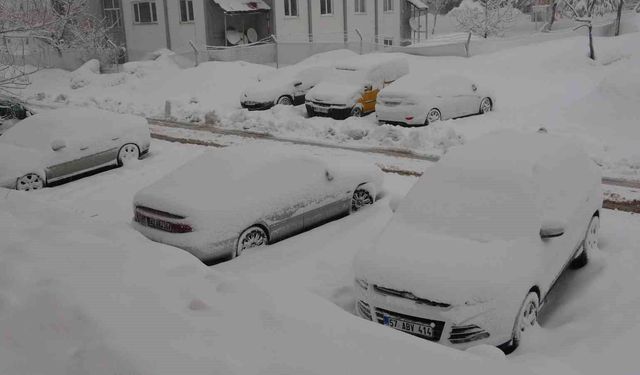 Bitlis'te 165 köy yolu kardan kapandı
