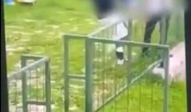 Çocuğu feci şekilde darbederek bayılttı