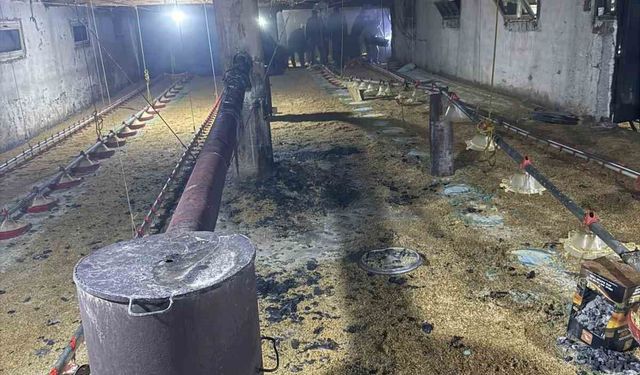 Bolu'da kümes yangını büyümeden söndürüldü