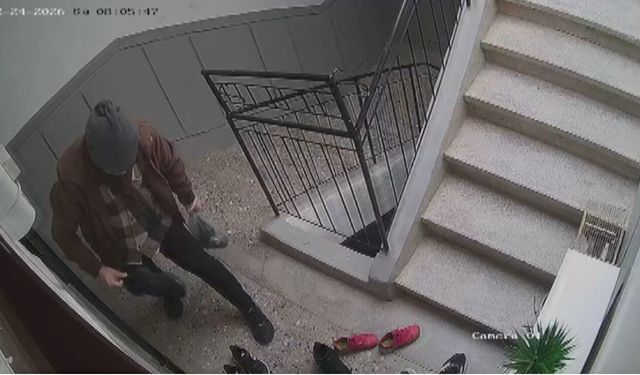 Bu da marka takıntılı hırsızlık şüphelisi