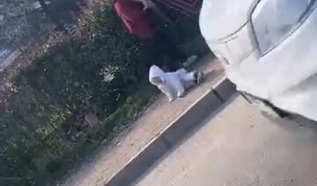 Bursa'da dilenci kadınların kavgası kamerada: Kucağındaki bebek yere düştü