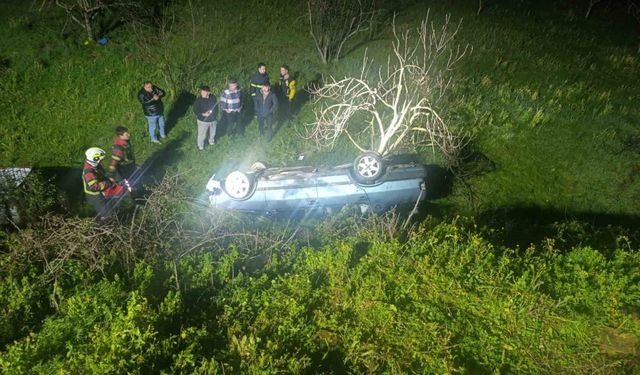 Domuza çarpan otomobil uçuruma yuvarlandı