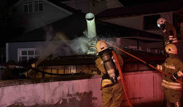 Düzce'de rüzgarın etkisi ile çıkan yangın büyümeden söndürüldü