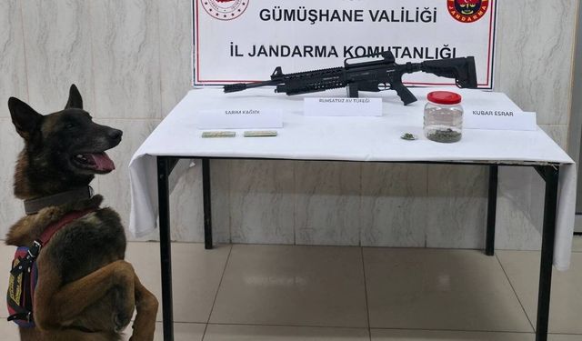 Gümüşhane'de jandarmadan uyuşturucu ve ruhsatsız silah operasyonu