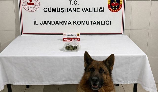 Gümüşhane'de uyuşturucu operasyonu
