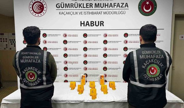 Habur'da ayakkabı içerisinde 41 kilo altın ele geçirildi