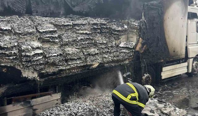 Hamsi yüklü tır alevlere teslim oldu: Dorse kullanılamaz hale geldi