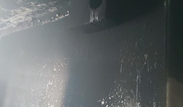 Hasköy'de ev yangını