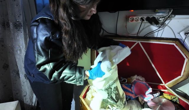 Iğdır'da müstehcenlik operasyonu: 2 tutuklama