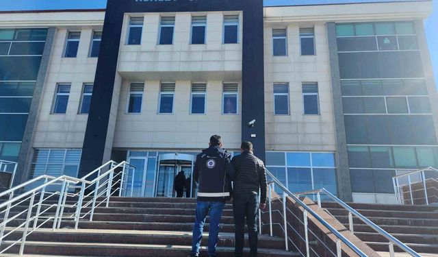 Kars'ta göçmen kaçakçılığı operasyonu: 1 tutuklama