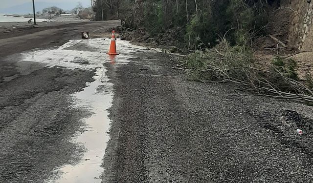 Kastamonu'da heyelanda istinat duvarını aşan ağaçlar yola kadar geldi