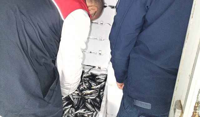 Kırklareli'nde su ürünleri denetiminde 110 koli istavrite cezai işlem